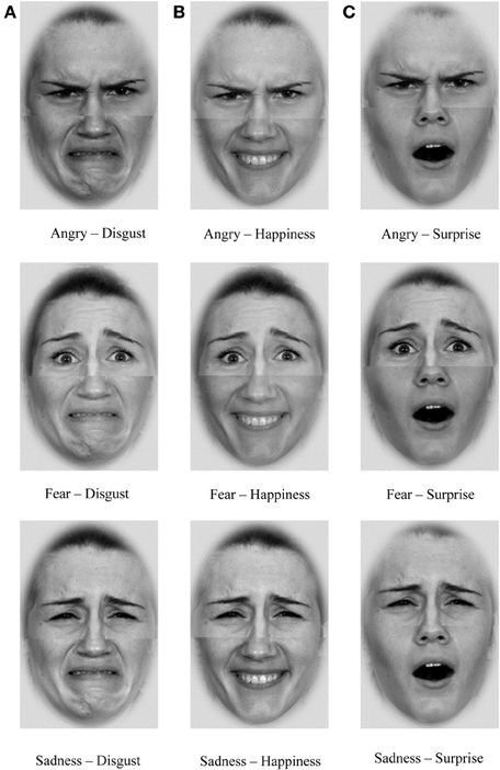 Facial Expressions Of Emotion 55
