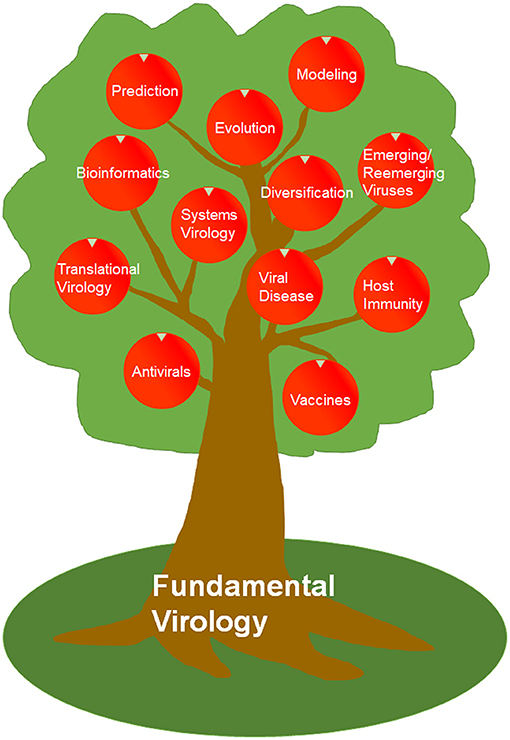www.frontiersin.org