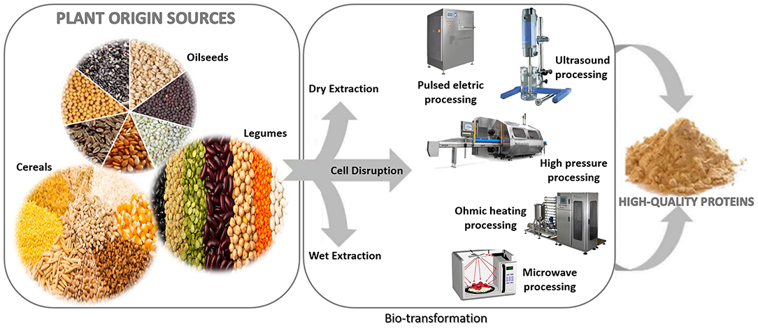 Recent Advances in the Processing and Manufacturing of Plant-Based Meat
