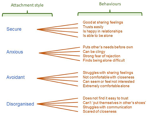 Attachment: The What, the Why, and the Long-Term Effects