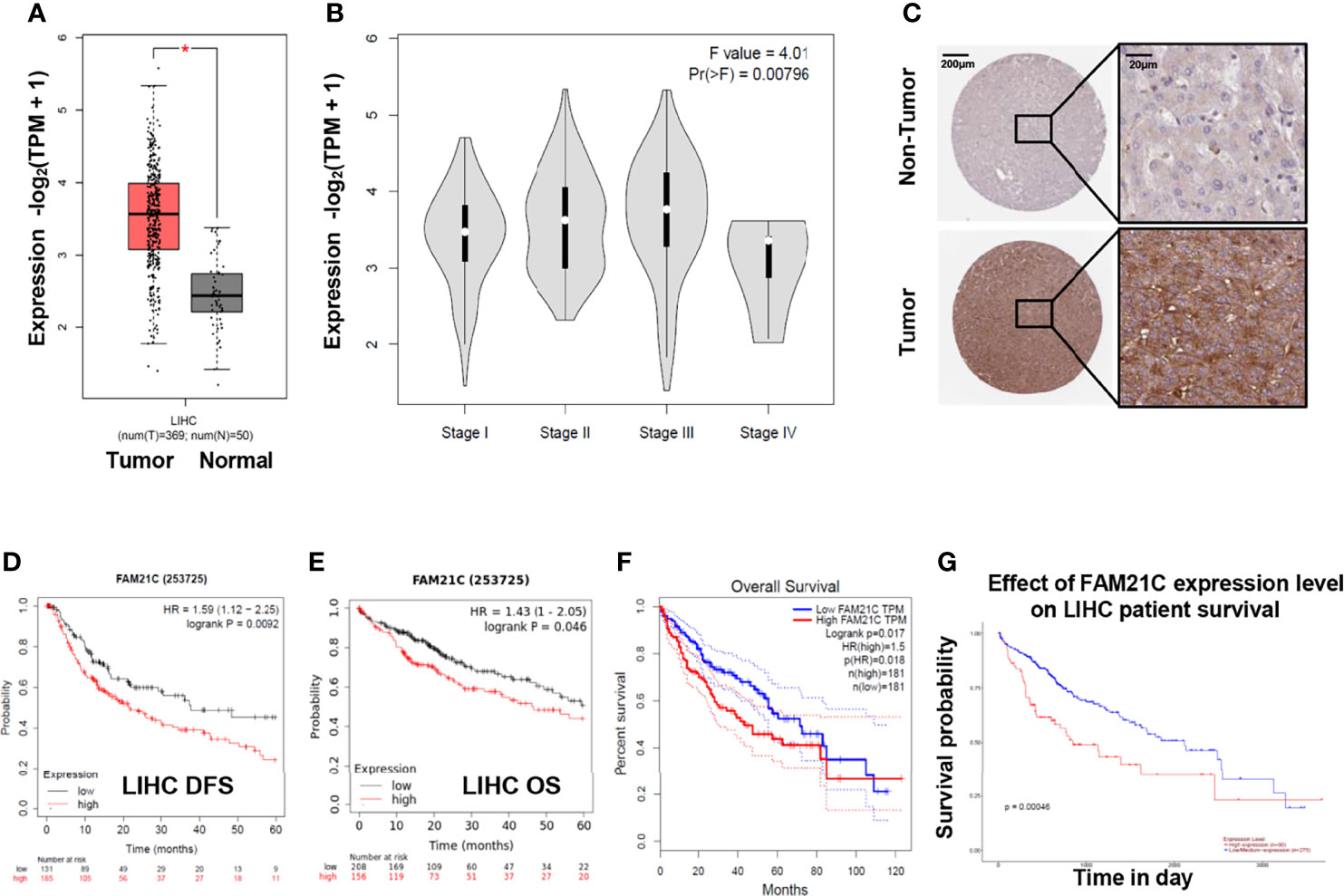 PDF) The Arp1/11 minifilament of dynactin primes the endosomal