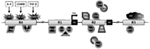 www.frontiersin.org