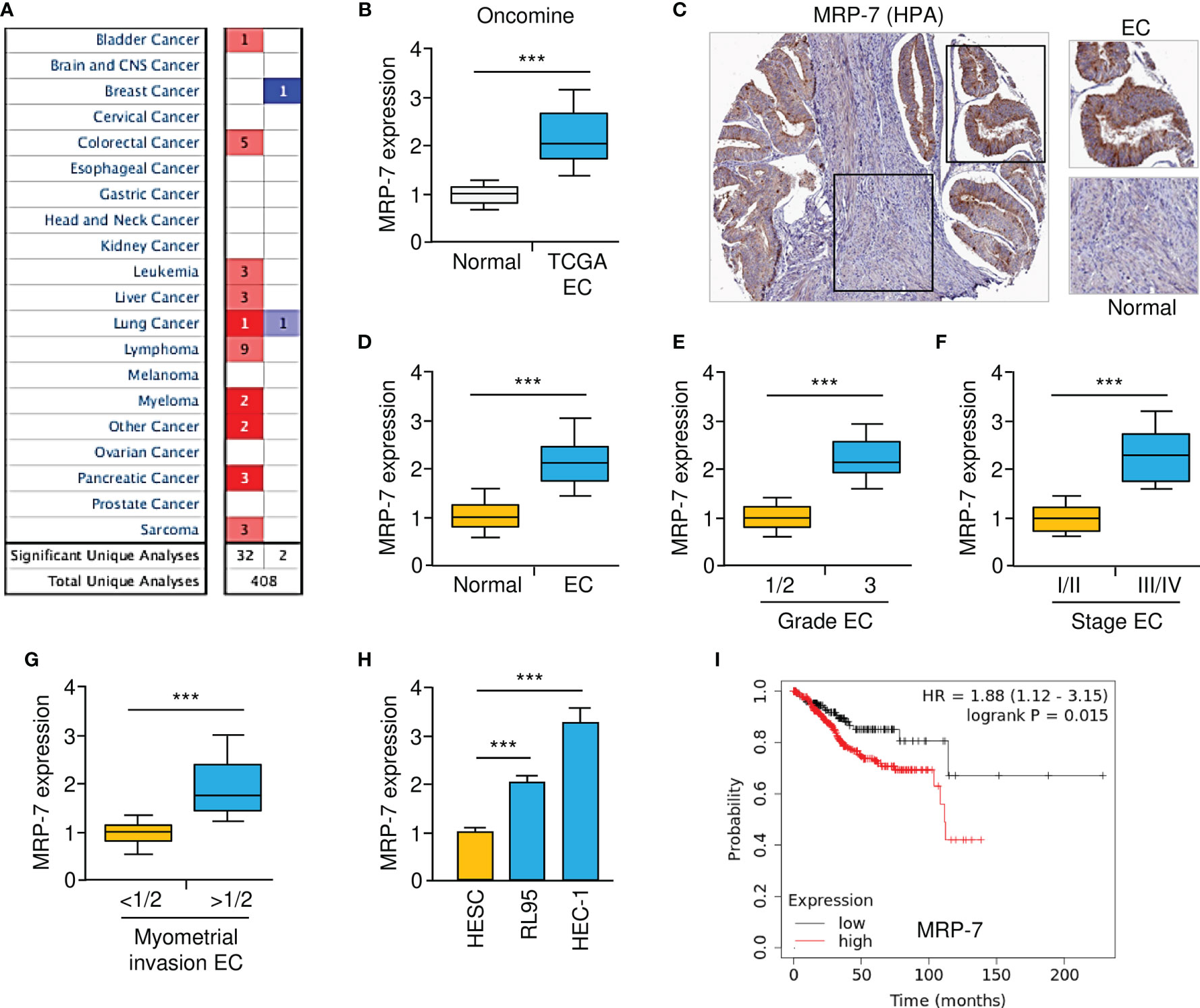 Frontiers | A Novel miR-98 Negatively Regulates the Resistance of 