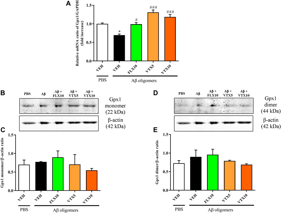 Frontiers  Antioxidant Activity of Fluoxetine and Vortioxetine in