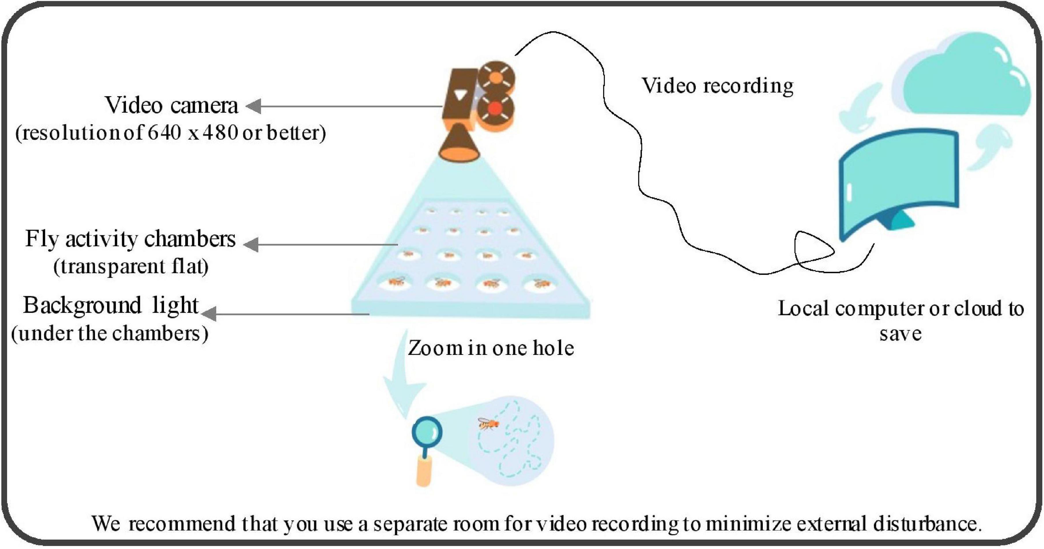 HOLES READING LESSONS NOVEL STUDY & INTERDISCIPLINARY ACTIVITY