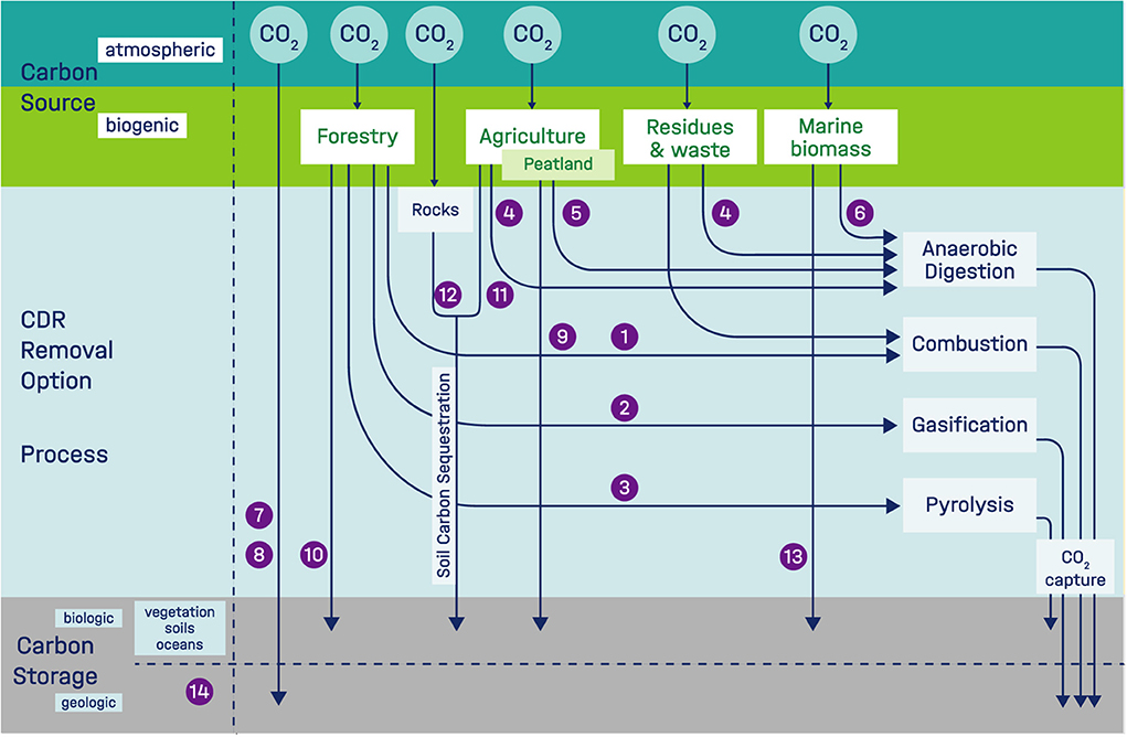 Frontiers  Scoping carbon dioxide removal options for Germany–What is  their potential contribution to Net-Zero CO2?