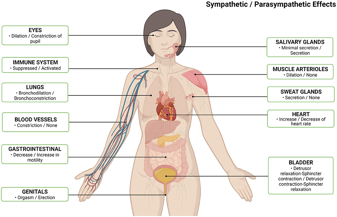 File:Scientific American - Series 1 - Volume 004 - Issue 37.pdf