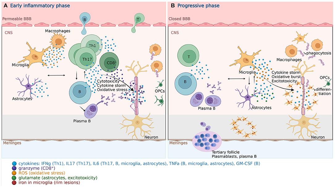 Frontiers  Therapeutic Advances in Multiple Sclerosis