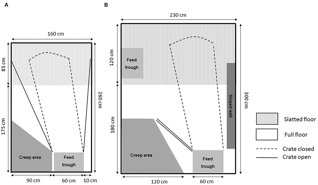 Batch farrowing is a strategy that can improve hog health