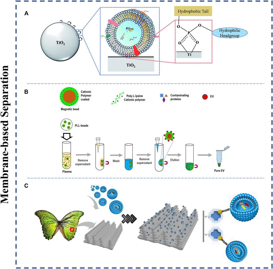 Frontiers Review On Strategies And Technologies For Exosome Isolation