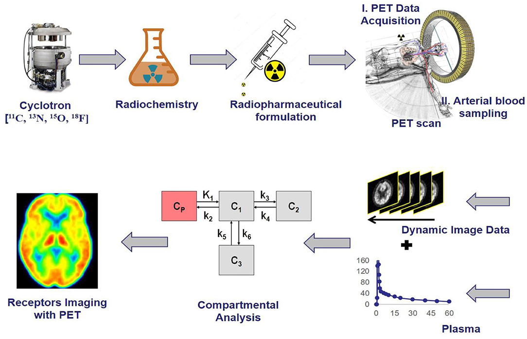 References - Drug Discovery for the Treatment of Addiction - Wiley Online  Library