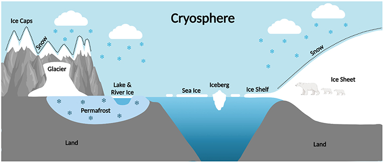 Figure 1 - The various forms of snow and ice that make up Earth’s cryosphere (Figure created with BioRender.com).