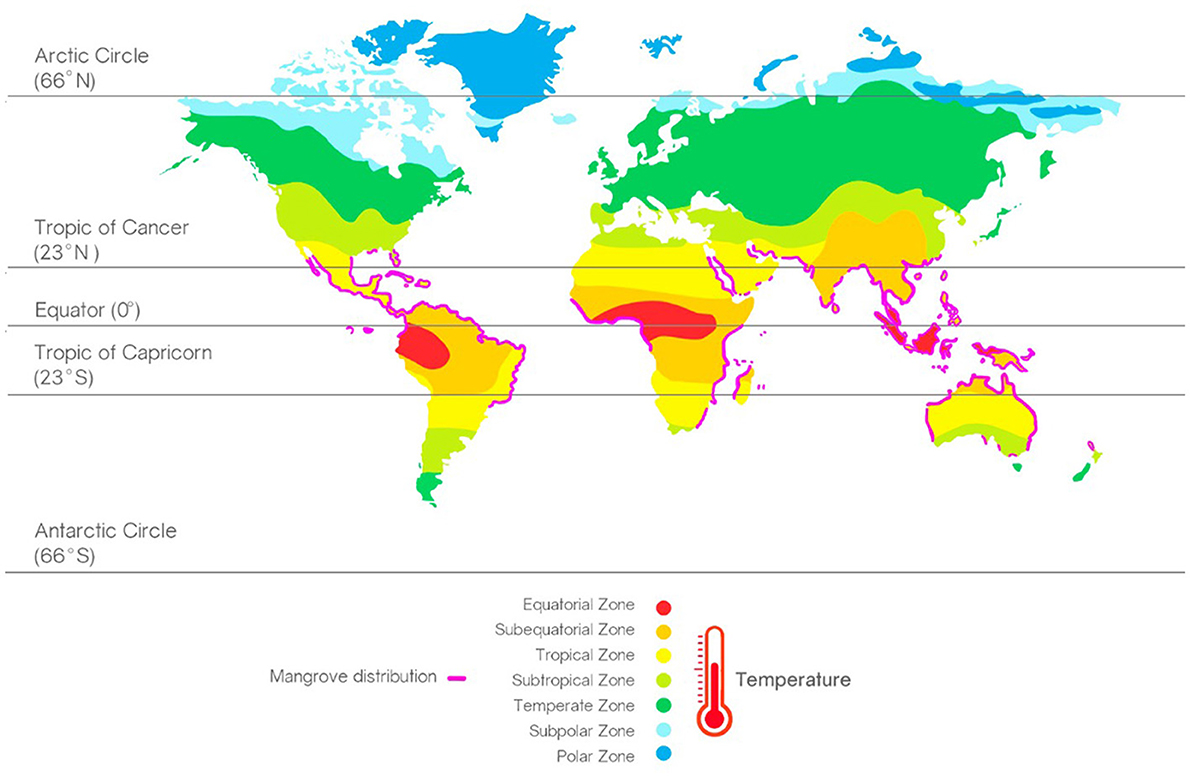 Figure 1 - Mangroves (pink line) can be found along the coasts throughout the tropical and subtropical regions of the world.