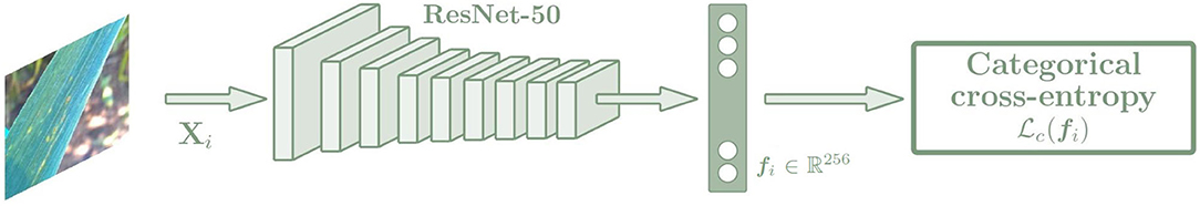 www.frontiersin.org