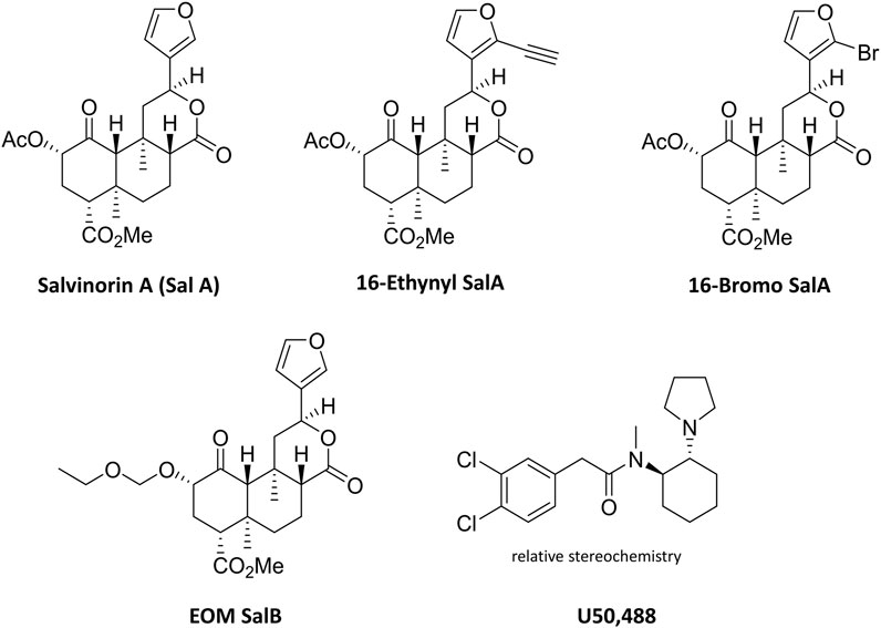 Www Xxx 16 Sal Ke Bete Ma Se Sex Video - Frontiers | Sex Differences in Kappa Opioid Receptor Agonist Mediated  Attenuation of Chemotherapy-Induced Neuropathic Pain in Mice