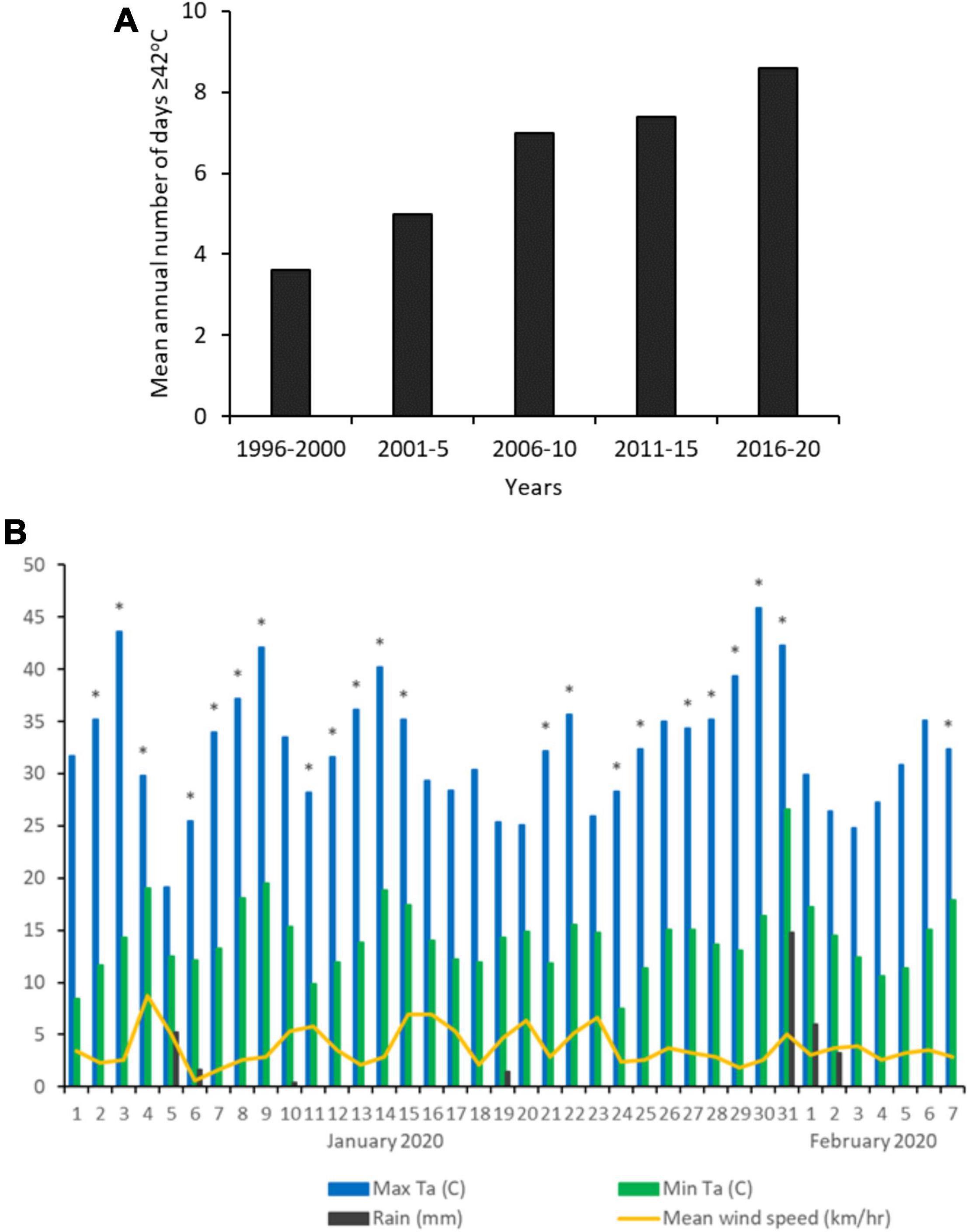 Road killed vertebrates vs. mean temperature and total precipitation