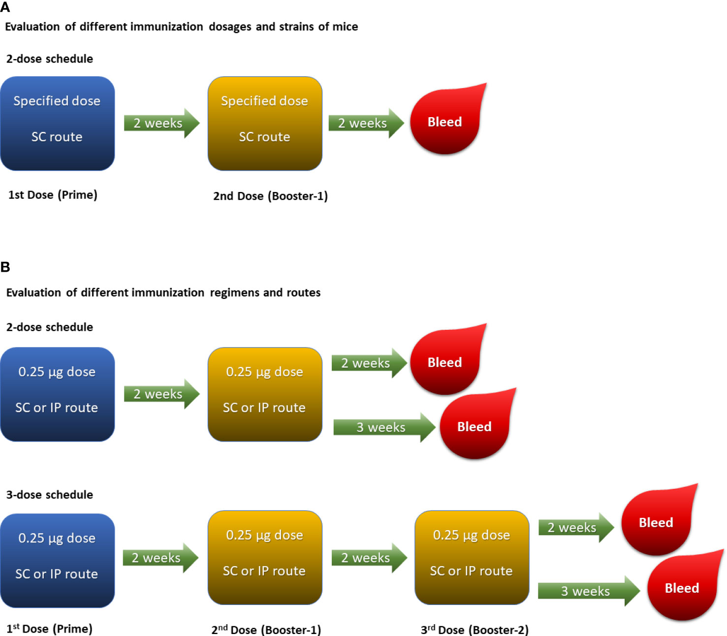 Full article: Comparing the meningococcal serogroup C immune response  elicited by a tetanus toxoid conjugate quadrivalent meningococcal vaccine  (MenACYW-TT) versus a quadrivalent or monovalent C tetanus toxoid conjugate  meningococcal vaccine in healthy