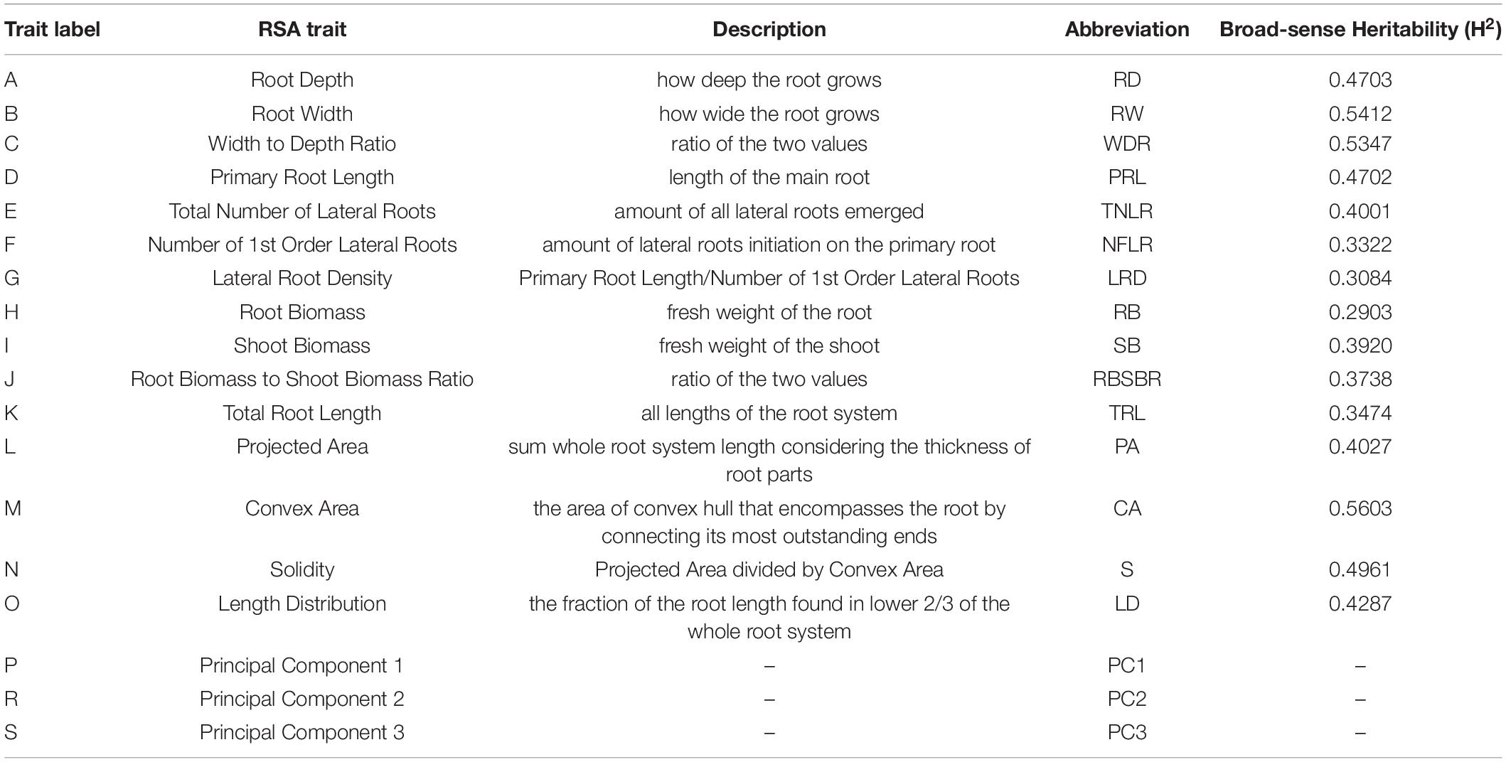 Frontiers  Genetic Variability of Arabidopsis thaliana Mature Root System  Architecture and Genome-Wide Association Study