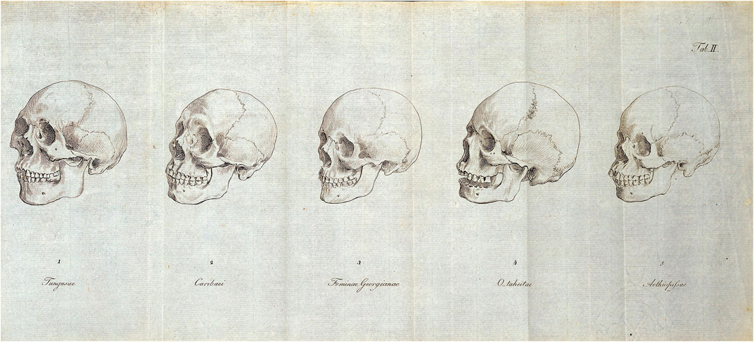 www.frontiersin.org