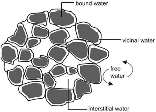www.frontiersin.org