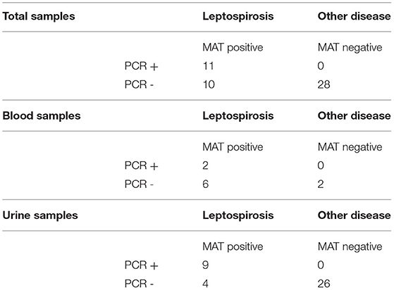 how do they test for leptospirosis in dogs