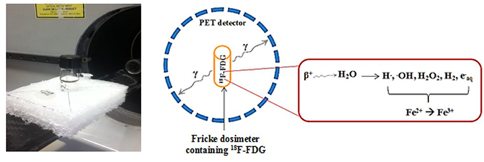 www.frontiersin.org