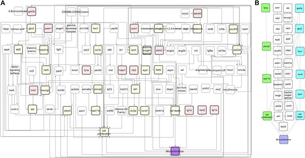 Development of Adverse Outcome Pathway for PPARγ Antagonism Leading to  Pulmonary Fibrosis and Chemical Selection for Its Validation: ToxCast  Database and a Deep Learning Artificial Neural Network Model-Based Approach