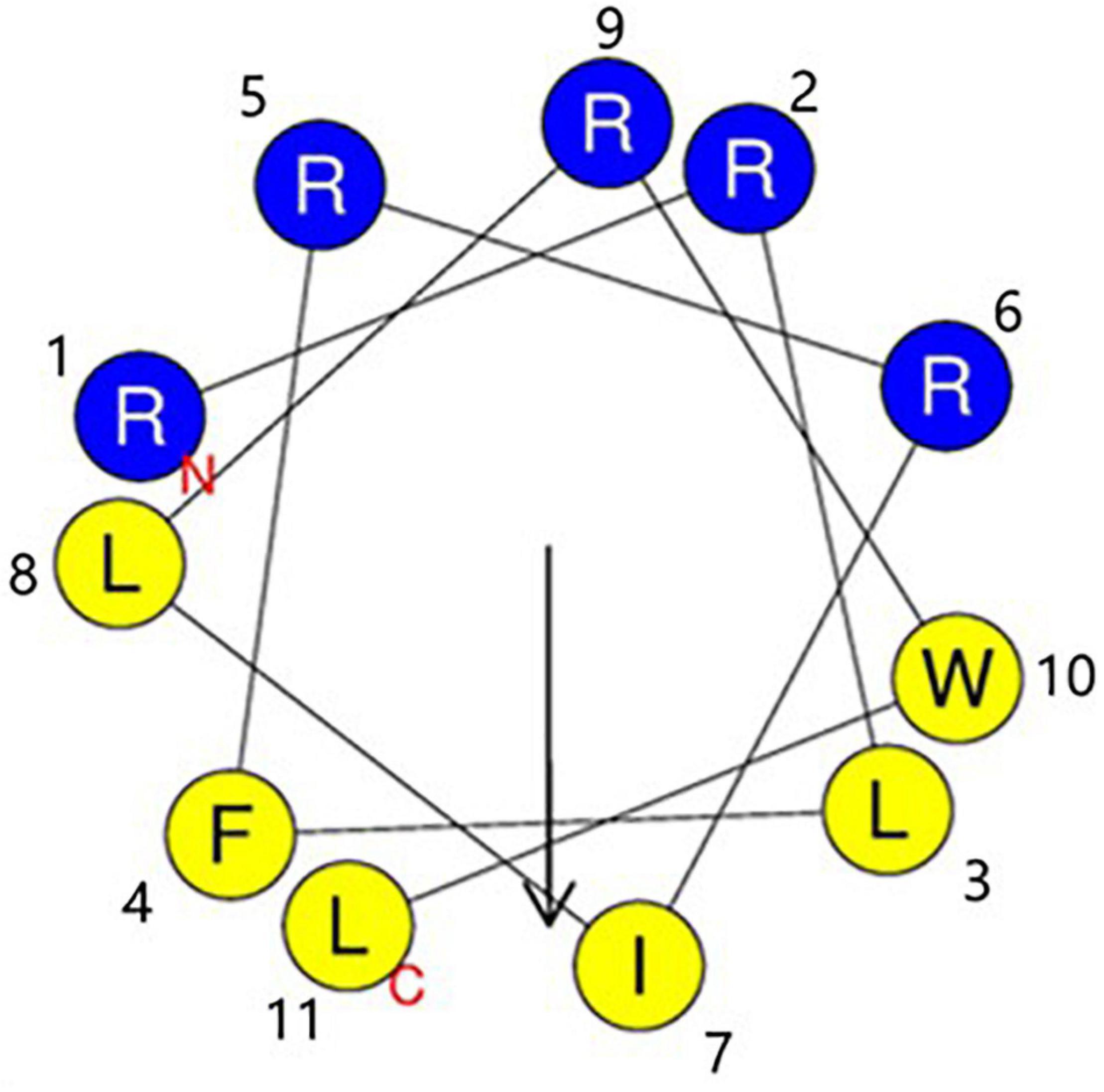 www.frontiersin.org