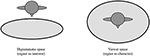 www.frontiersin.org