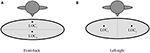 www.frontiersin.org