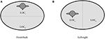 www.frontiersin.org