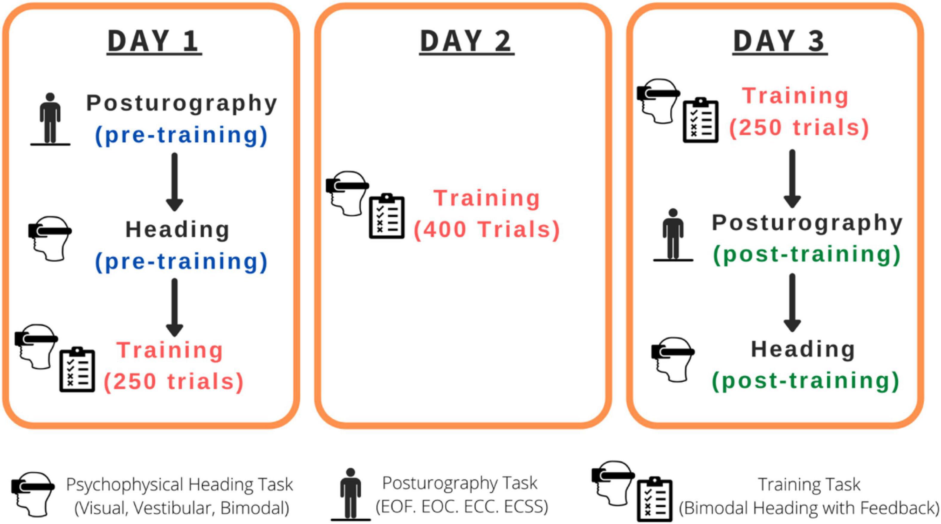 Frontiers Multisensory Visual vestibular Training Improves 54 OFF