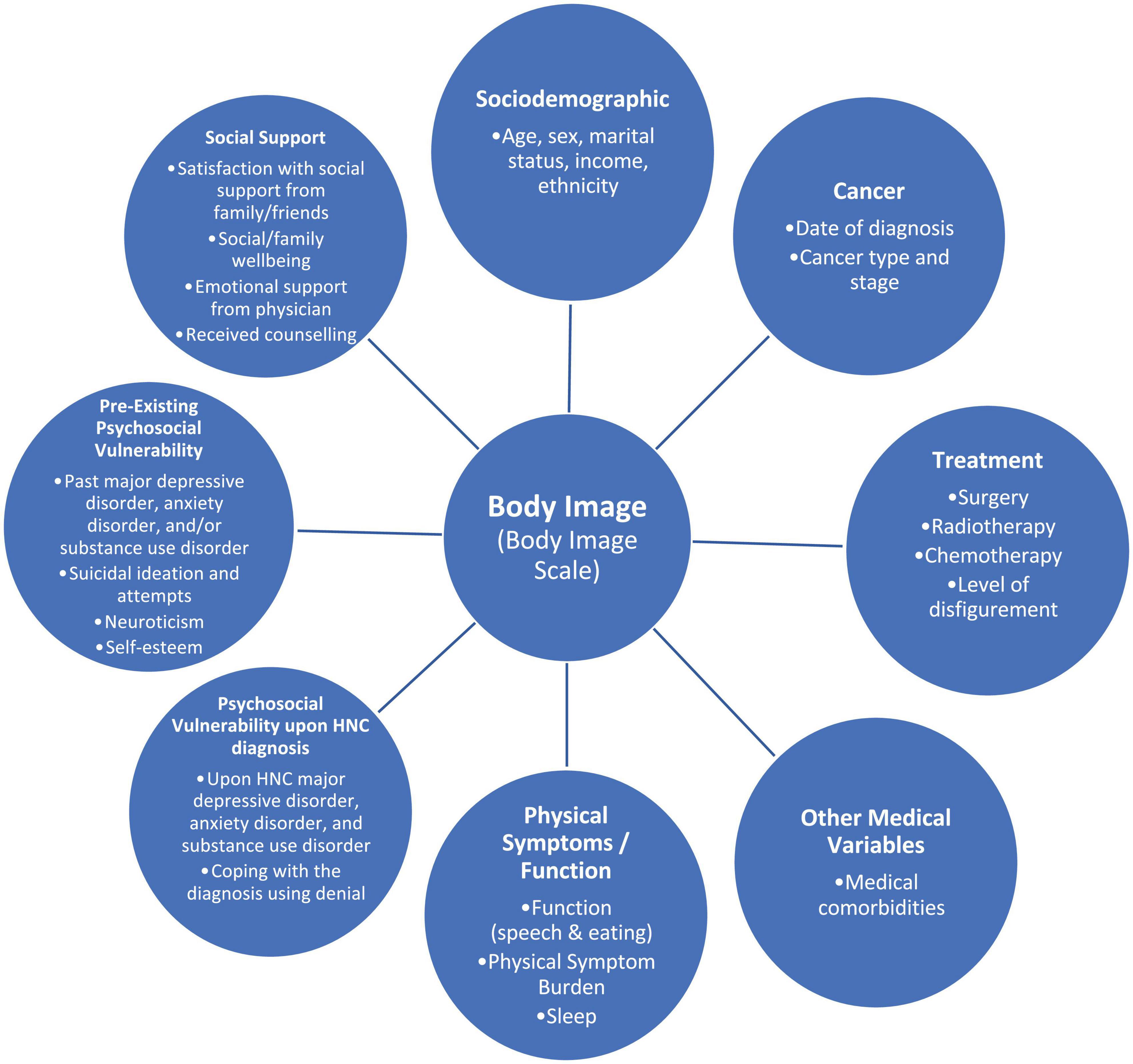 5.1 Mental Health Scale  Download Scientific Diagram