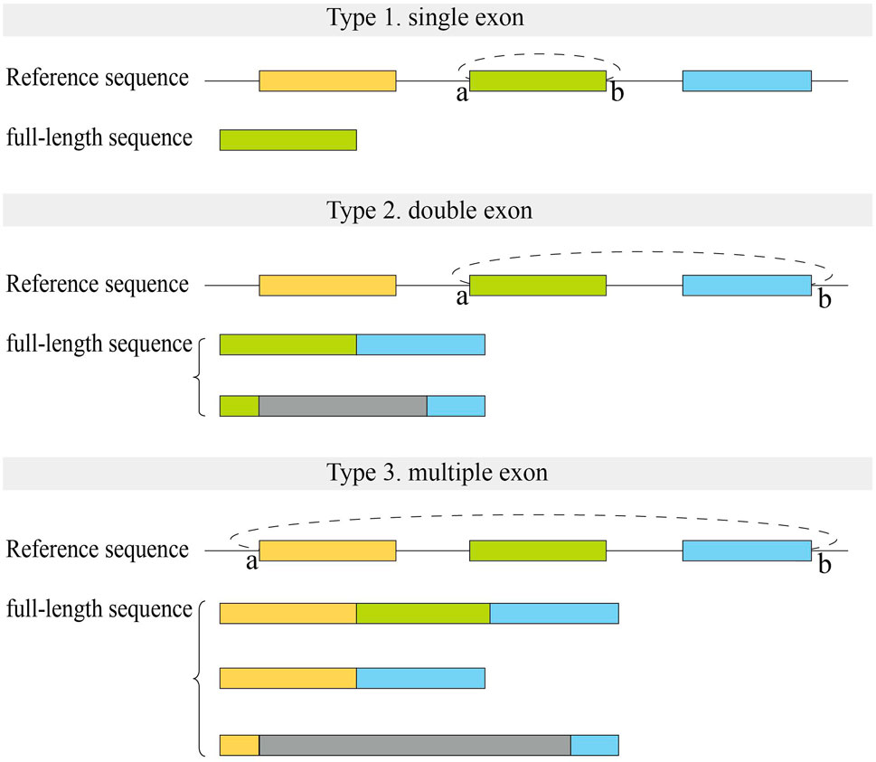 Frontiers | Evaluation of CircRNA Sequence Assembly Methods Using Long ...