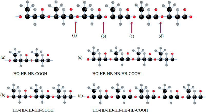 Frontiers | Post-Synthetic Enzymatic and Chemical Modifications for ...