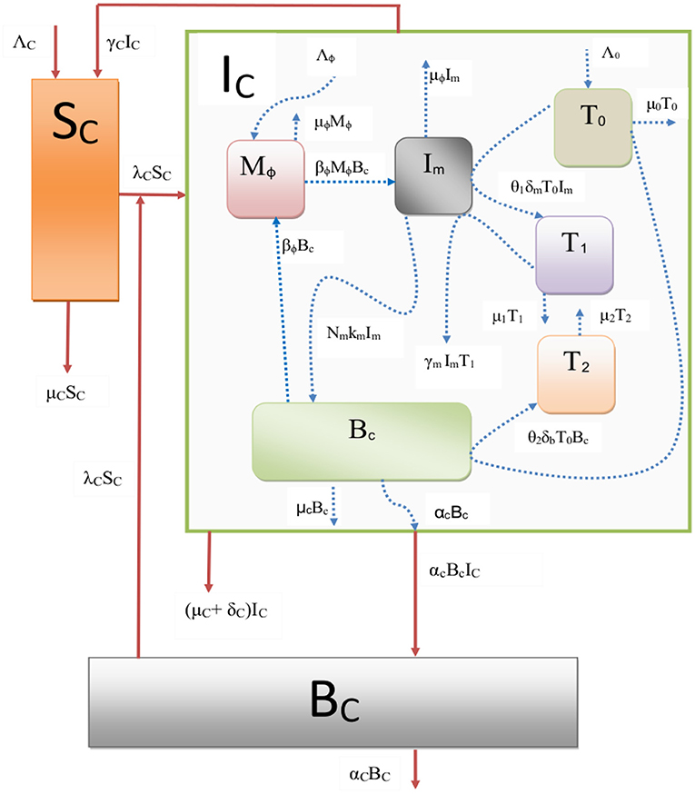 Food structuring is a multiscale problem, with micro-and macroscale