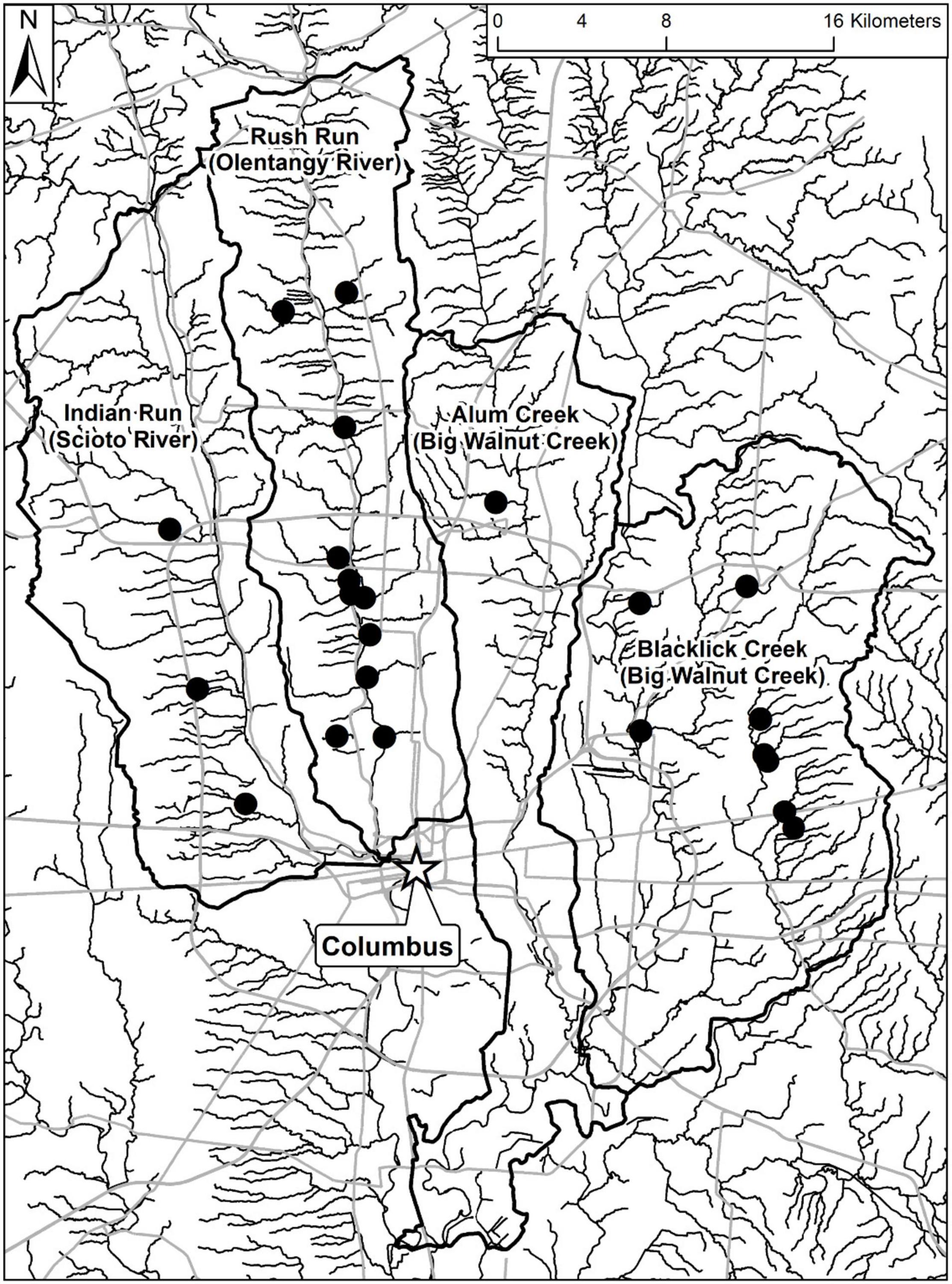 Streams Objectives: 1.Definition 2.Importance 3.Hydrologic Cycle 4.Geometry  and Dynamics. - ppt download