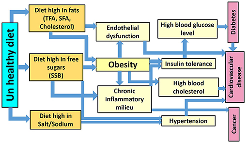 The burden of psychological distress and unhealthy dietary