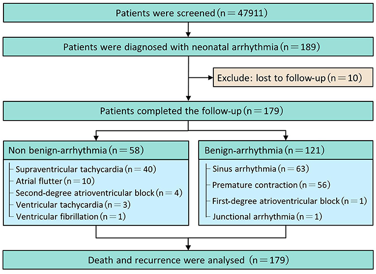 Frontiers  Hemodynamic and Metabolic Assessment of Neonates With