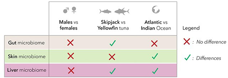 图3 -金枪鱼肠道、皮肤和肝脏微生物群中细菌群落的比较，取决于性别、物种和采样地点。