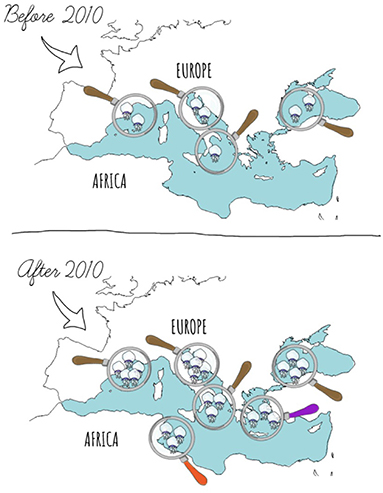 Figure 3 - Changes in the number of barrel jellyfish in several regions of the Mediterranean and Black Seas, before and after 2010.