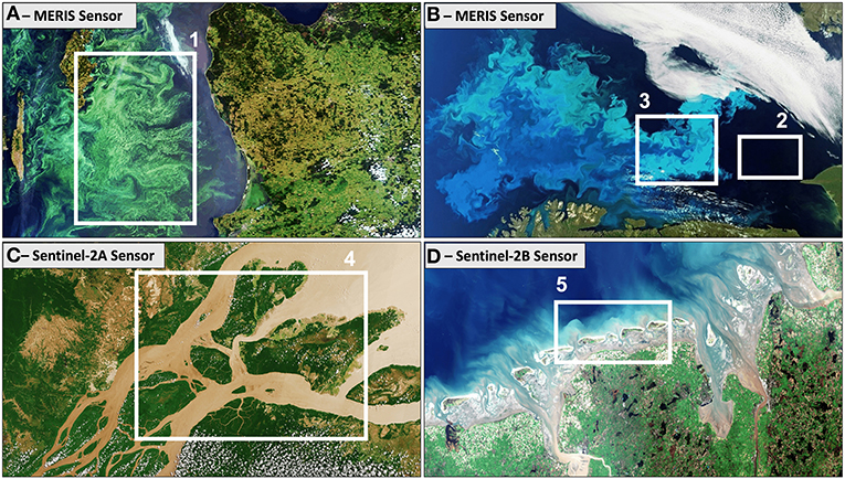 Figure 1 - The color of water seen from space, using sensors on board satellites from the European Space Agency.