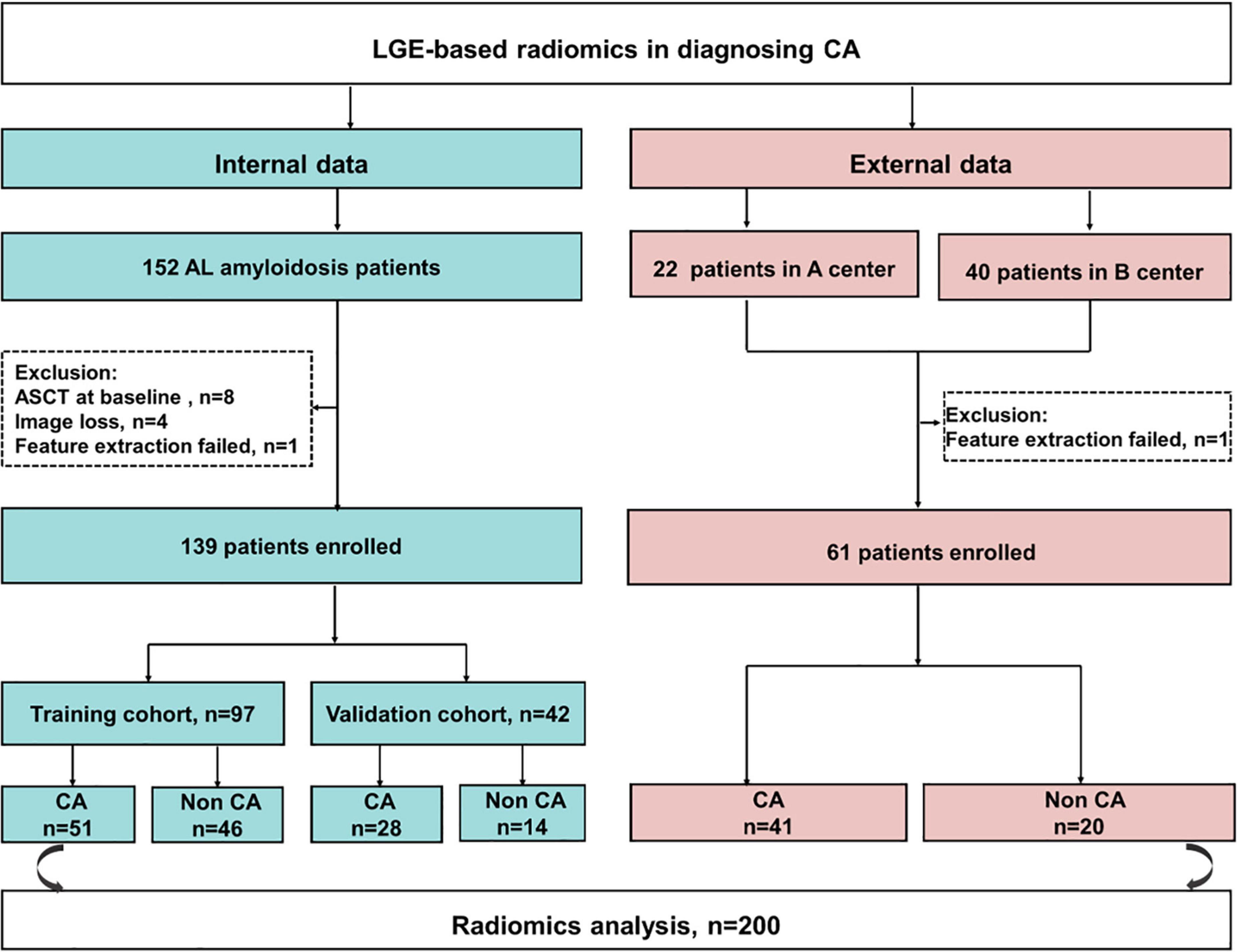 Global and Regional Variations in Transthyretin Cardiac