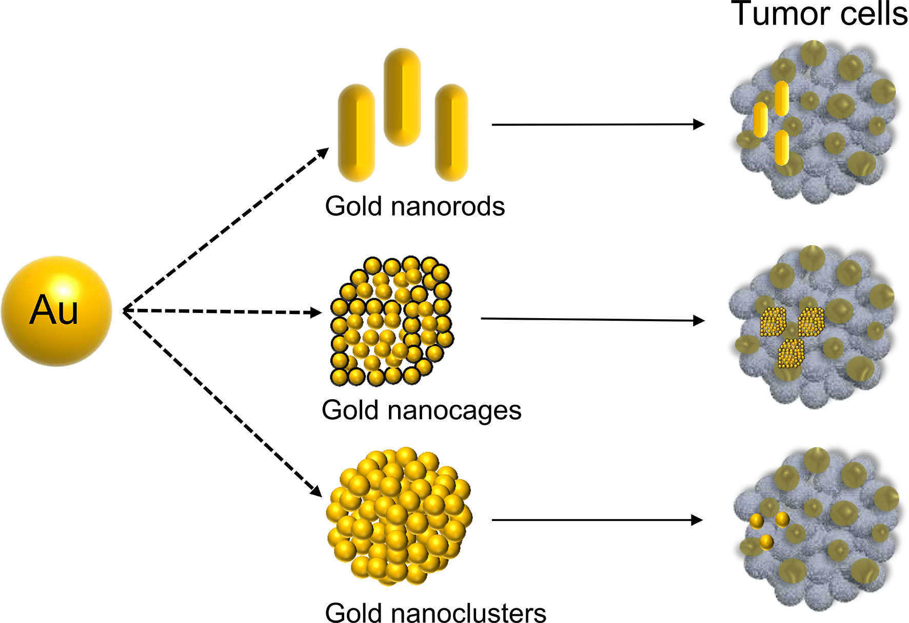 thesis gold nanoparticles
