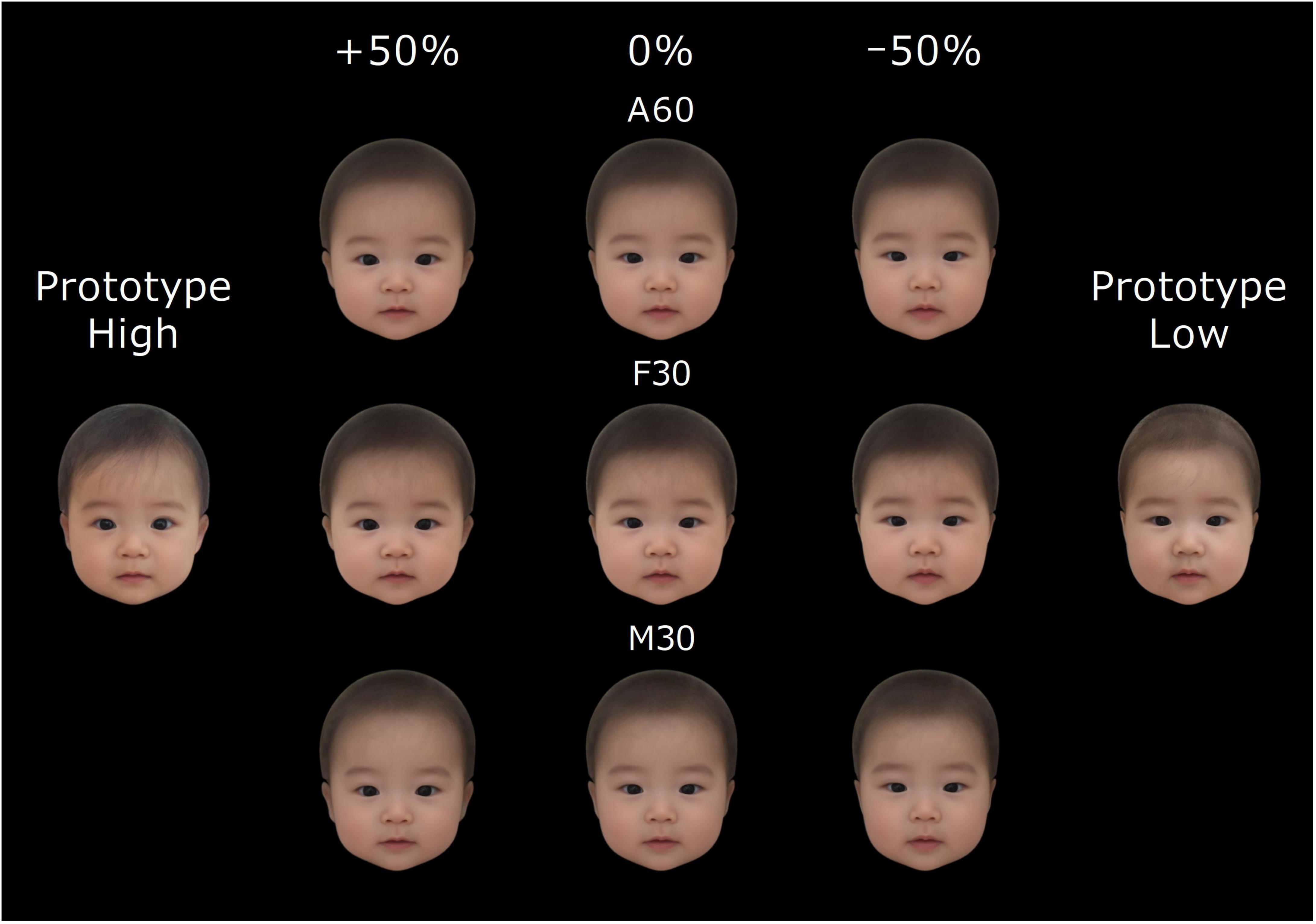 Frontiers Creation and Validation of the Japanese Cute Infant Face (JCIF) Dataset image