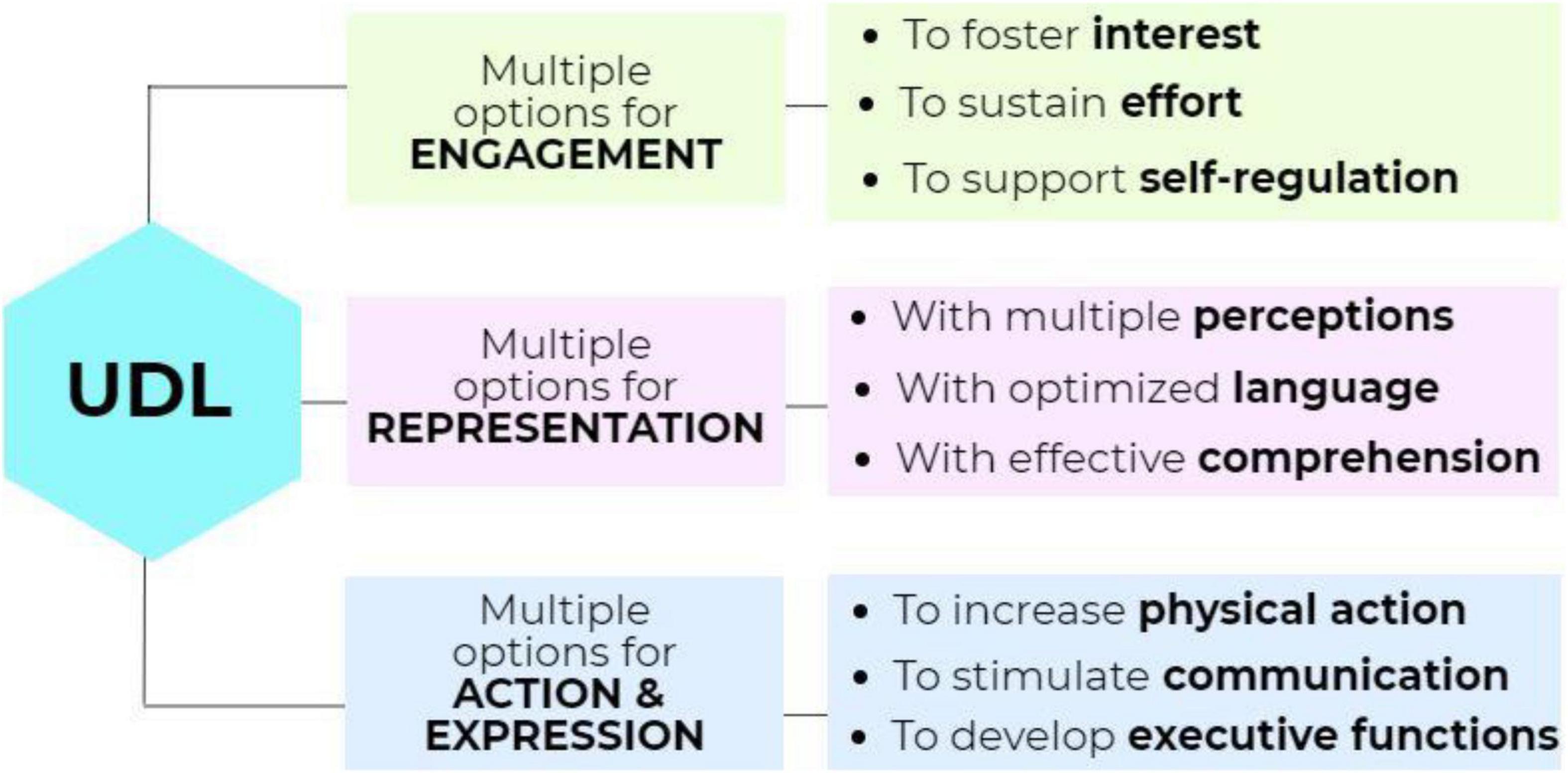 Frontiers | Catering to Inclusion and Diversity With Universal Design for  Learning in Asynchronous Online Education: A Self-Determination Theory  Perspective