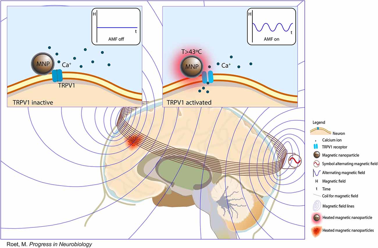 high quality portable electro-magnetic brain stimulation