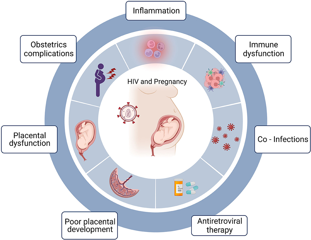 Publications about social protection and HIV