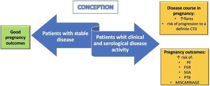 Frontiers  Undifferentiated Connective Tissue Disease in Pregnancy: A  Topic Yet to be Explored