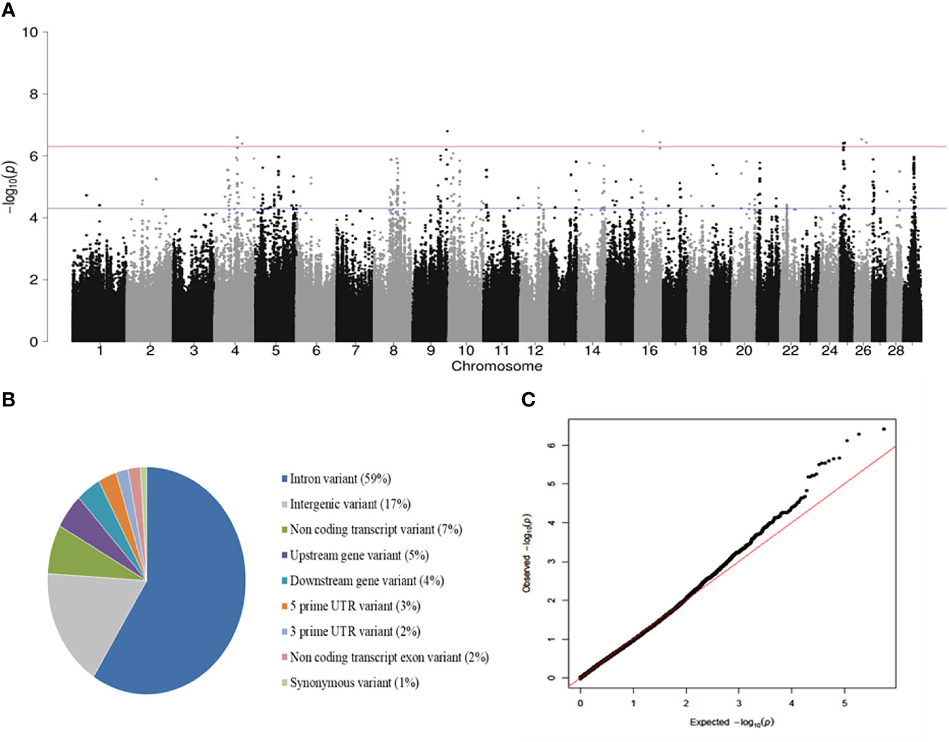 Frontiers  A Genome-Wide Association Study Identifies Candidate